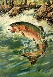 Arkansas Trout Fishing, White River Trout Fishing, near Mountain Home, Arkansas