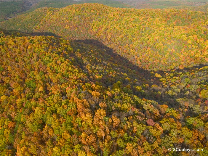 Ozark National Forest, Baxter & Stone Counties, Arkansas