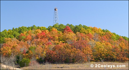 Glade Top Trail tower in fall foliage colors