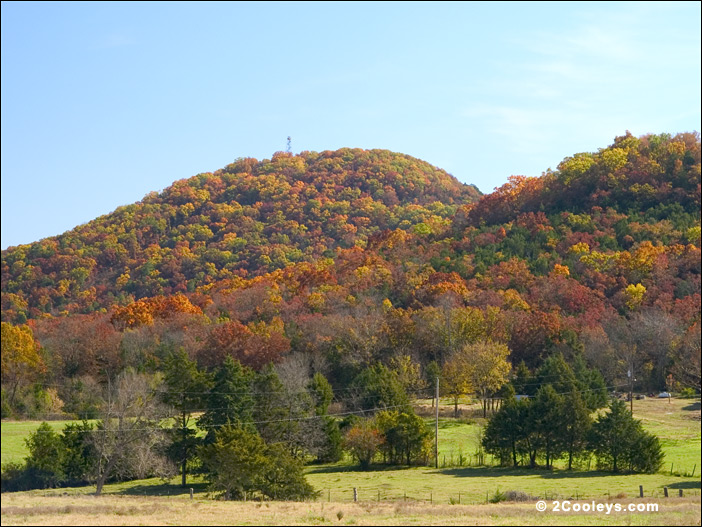 Fall foliage along Hwy 341, Baxter County, Arkansas