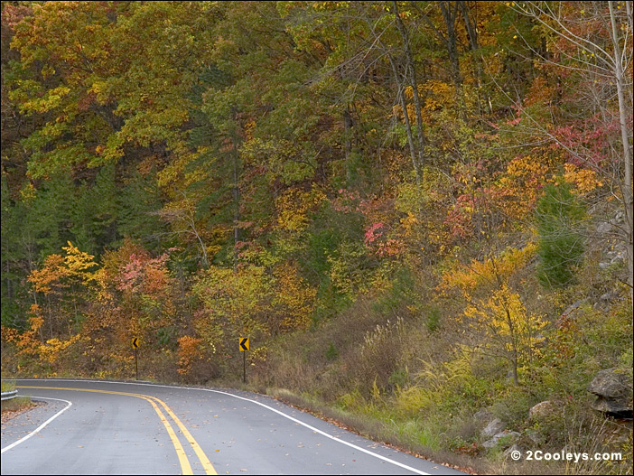 Scenic Ozark Mountain roadway