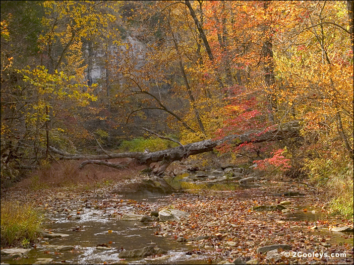 Barkshed recreation area Ozark National Forest