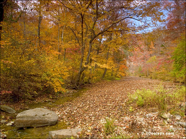 Ozark Mountain creek bed