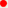 red.gif (852 bytes)