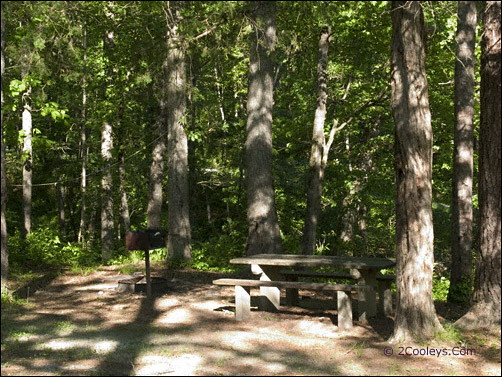 barkshed recreation area picnic table