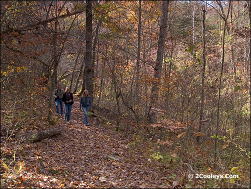 blanchard springs caverns hiking trail