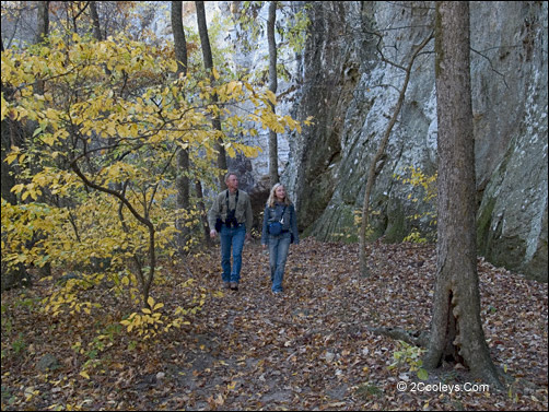 Sandfield Bluff at Blanchard Springs Caverns