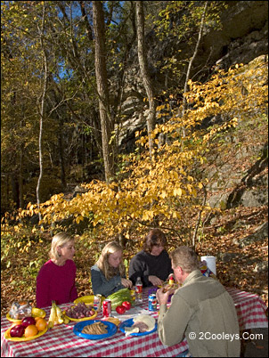 Picnic at Blanchard Springs Caverns