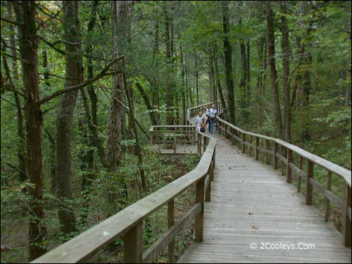 Blanchard Springs Caverns - Historic Mitchell Grist Mill Site
