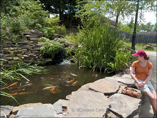 Ozark Folk Center coy pond