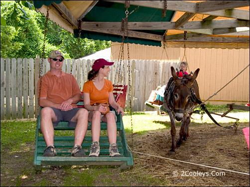 Ozark Folk Center - donkey merry-go-round