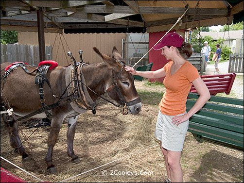 Ozark Folk Center - donkey ride petting