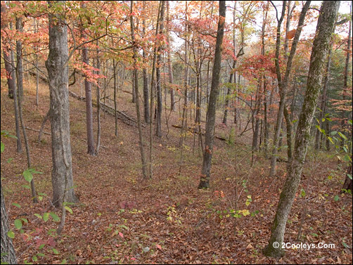 gunner pool recreation area sandstone hollow