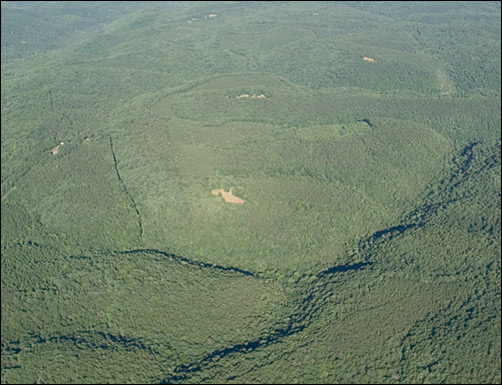 bright spot highlighting a food plot