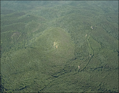 branscum road food plot highlighted