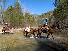 sylamore area horse trails