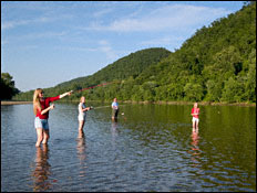 sylamore area trout fishing