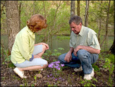 sylamore area nature walks