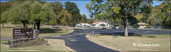 Norfork National trout hatchery